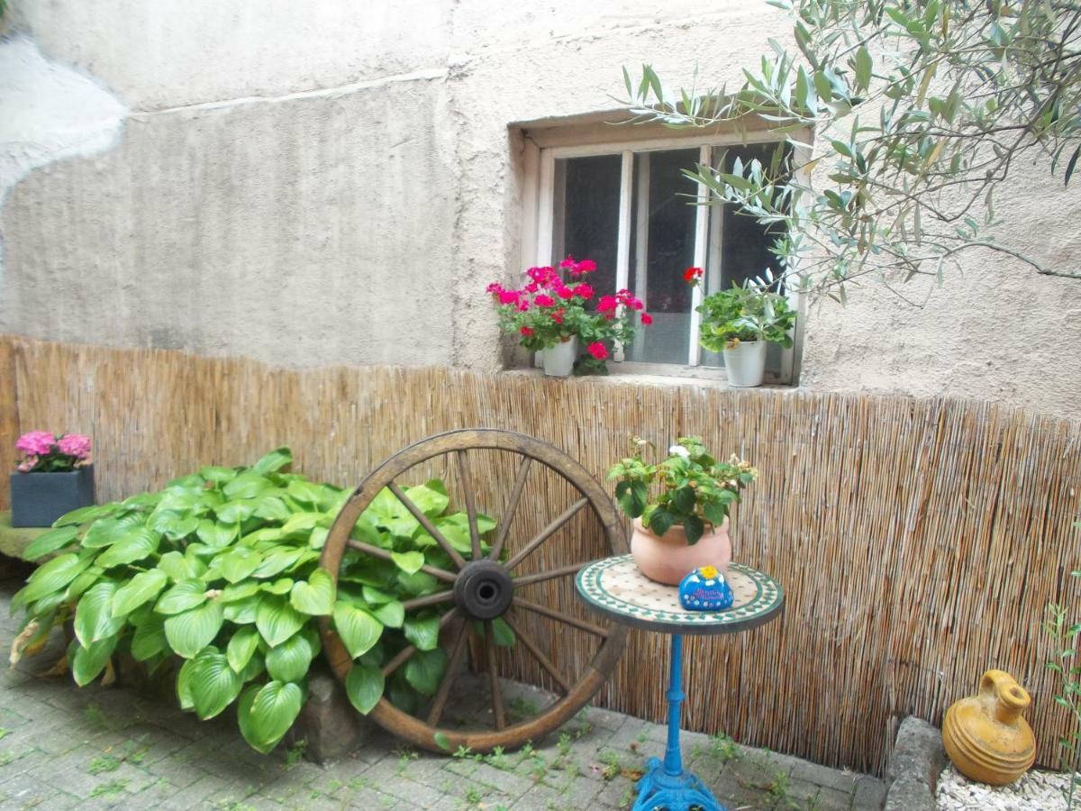 Ferienwohnungen Pension Aurora Kappel-Grafenhausen Zewnętrze zdjęcie