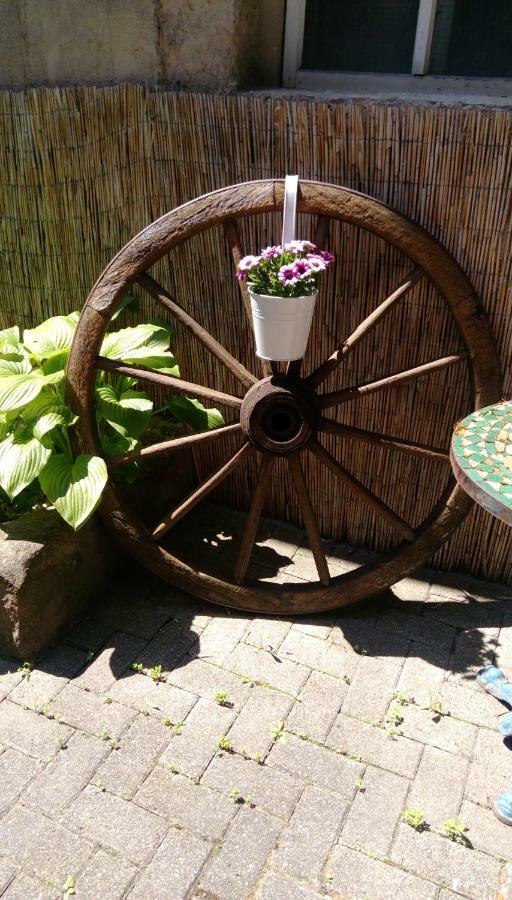 Ferienwohnungen Pension Aurora Kappel-Grafenhausen Zewnętrze zdjęcie